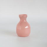Arla Dried Flowers with Glass Vase