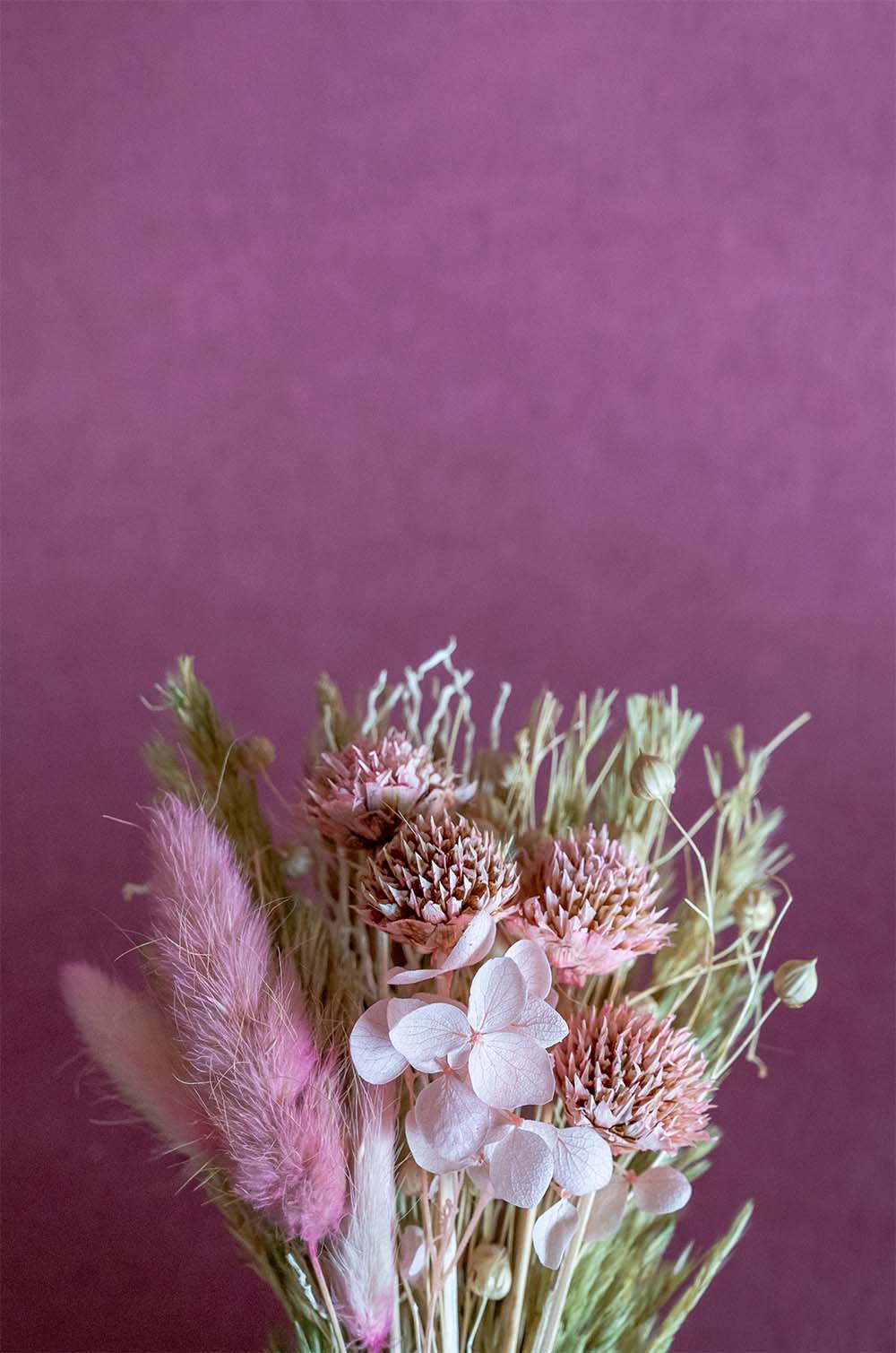 Aurora Natural Dried Flowers Bouquet - 20 cm