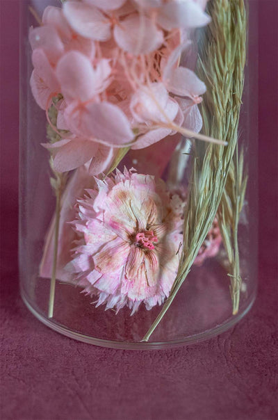 Aurora Natural Dried Flowers in Glass Tube with Cork Lid