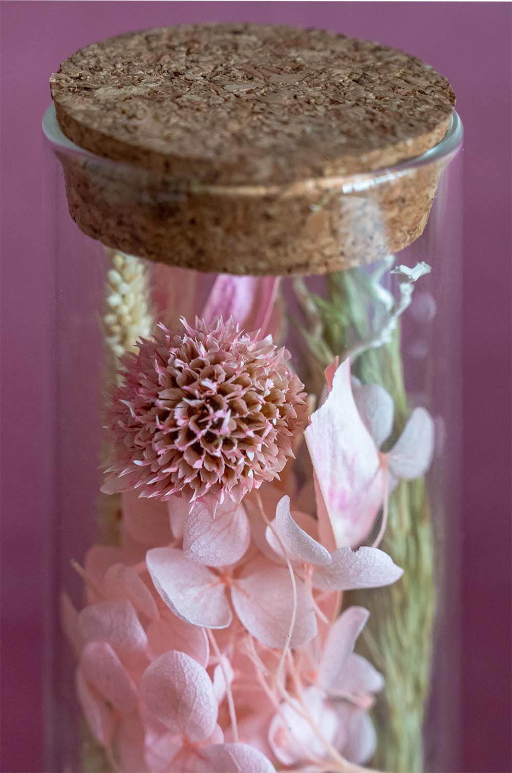 Aurora Natural Dried Flowers in Glass Tube with Cork Lid