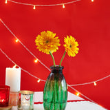 Aza Etched Glass Vase