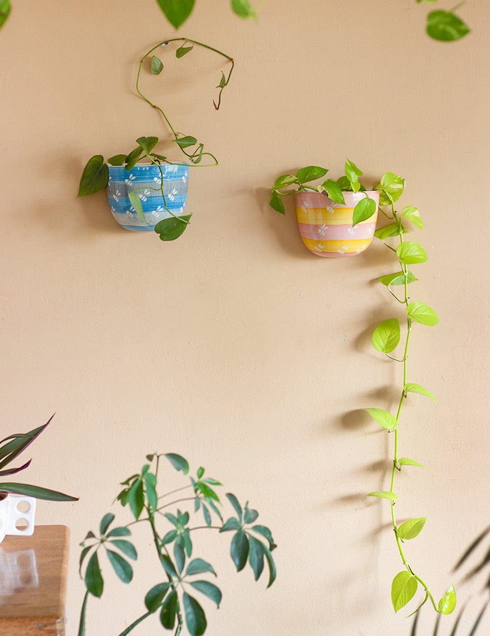 Bees Knees Wall Planter- Cerrulean Blue