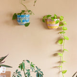 Bees Knees Wall Planter- Cerrulean Blue