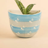 Bees Knees Wall Planter- Cerrulean Blue