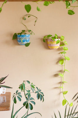 Bees Knees Wall Planter- Cerrulean Blue