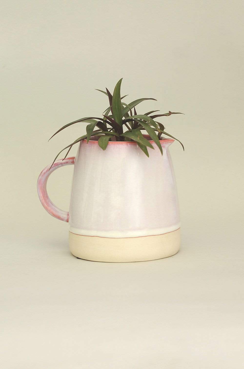 Berry Fizz Ceramic Planter