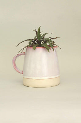 Berry Fizz Ceramic Planter