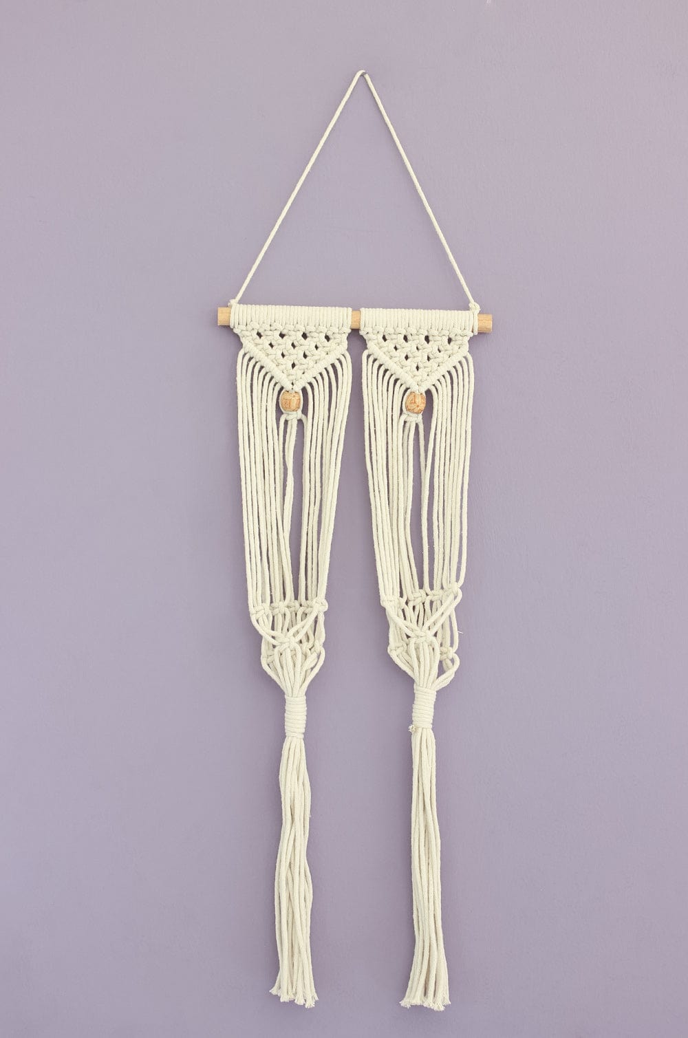 Besides You Macrame Knotted Planter Hanging