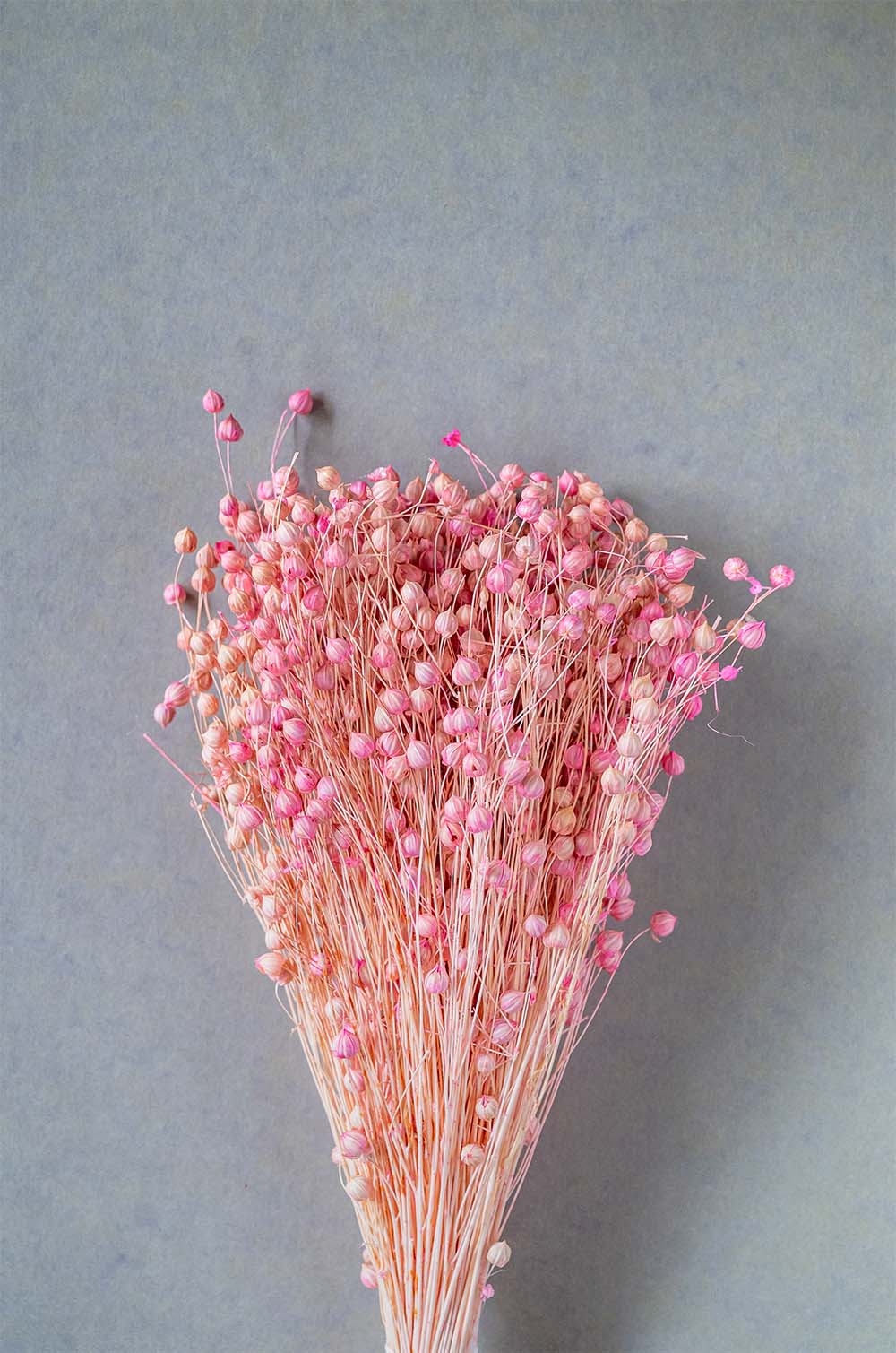 Bouquet of natural dried flowers