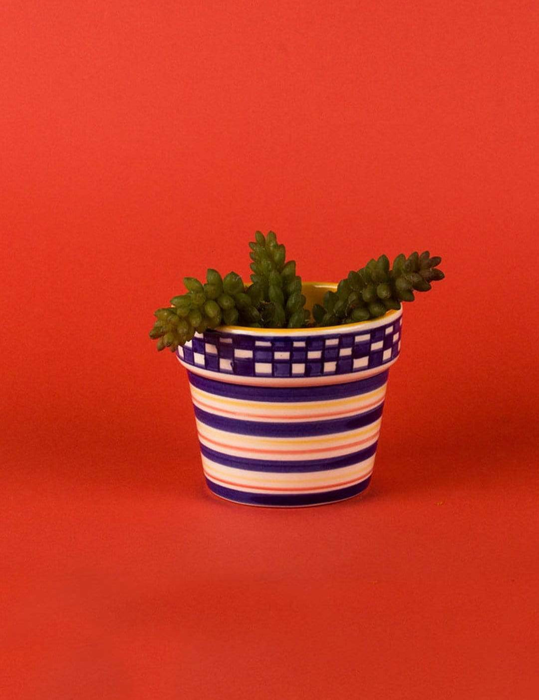 Checkered Planter