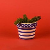 Checkered Planter