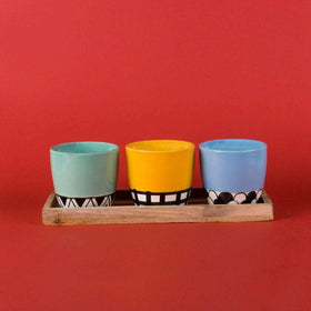 Color Blocked Planters With Tray - Set Of 3