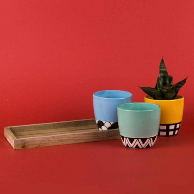 Color Blocked Planters With Tray - Set Of 3