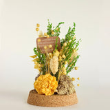 Dome Botanique -  Botanical flowers in a Glass Cloche - Daffodil