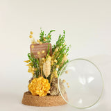 Dome Botanique -  Botanical flowers in a Glass Cloche - Daffodil