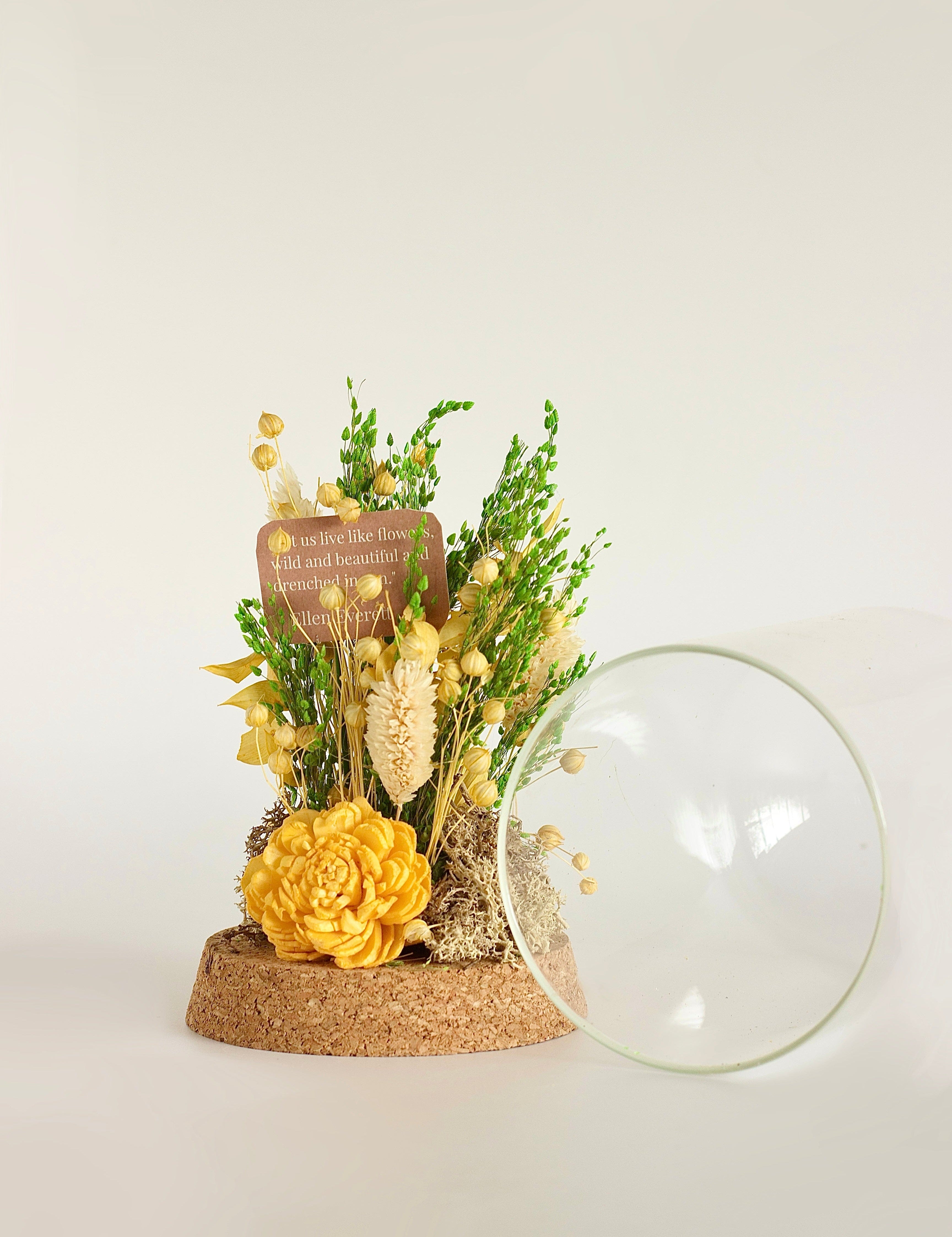Dome Botanique -  Botanical flowers in a Glass Cloche - Daffodil