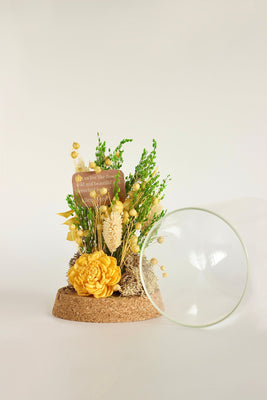 Dome Botanique -  Botanical flowers in a Glass Cloche - Daffodil