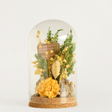 Dome Botanique -  Botanical flowers in a Glass Cloche - Daffodil