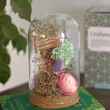 Dome Botanique -  Botanical Flowers in a Glass Cloche - Leaf Song