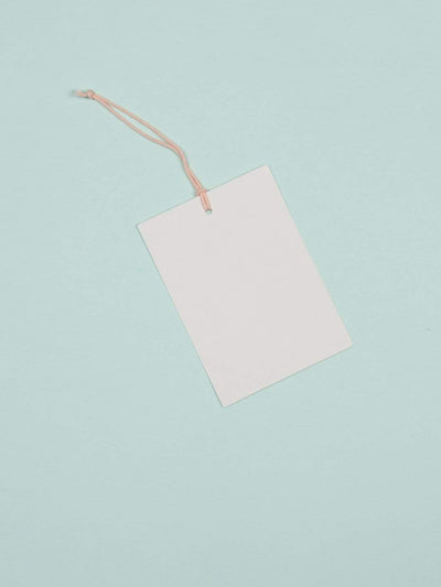 Dragonfly Tags -set Of 6