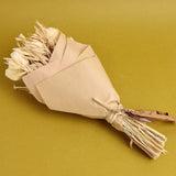 Dried Flowers Dance in the Garden Natural Dried Flowers - Beige 30 cms