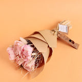 Dried Flowers Dance in the Garden Natural Dried Flowers - Pink 30 cms