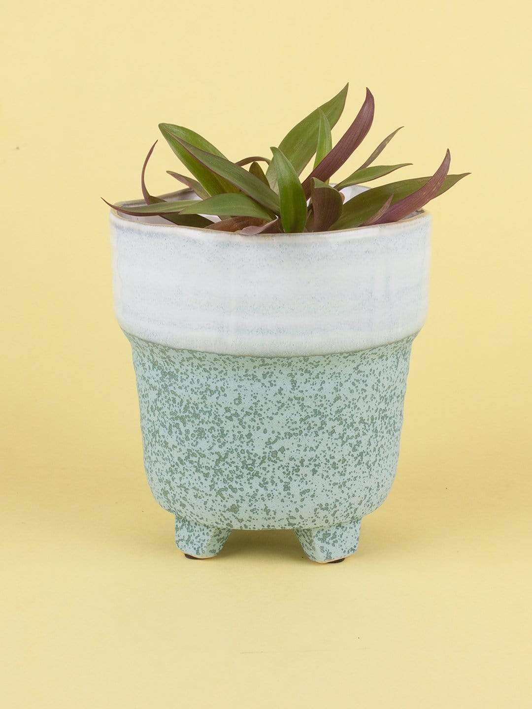 Enoki Ceramic Planter- Large