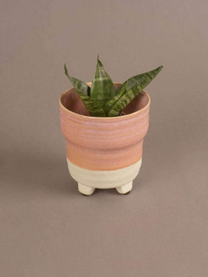 Enoki Ceramic Planter- Medium