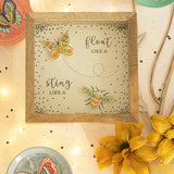 Float And Sting Shadow Box