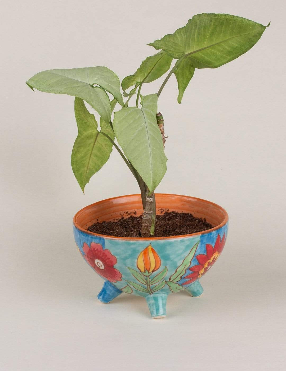 Floral 3 Legged Planter - Small