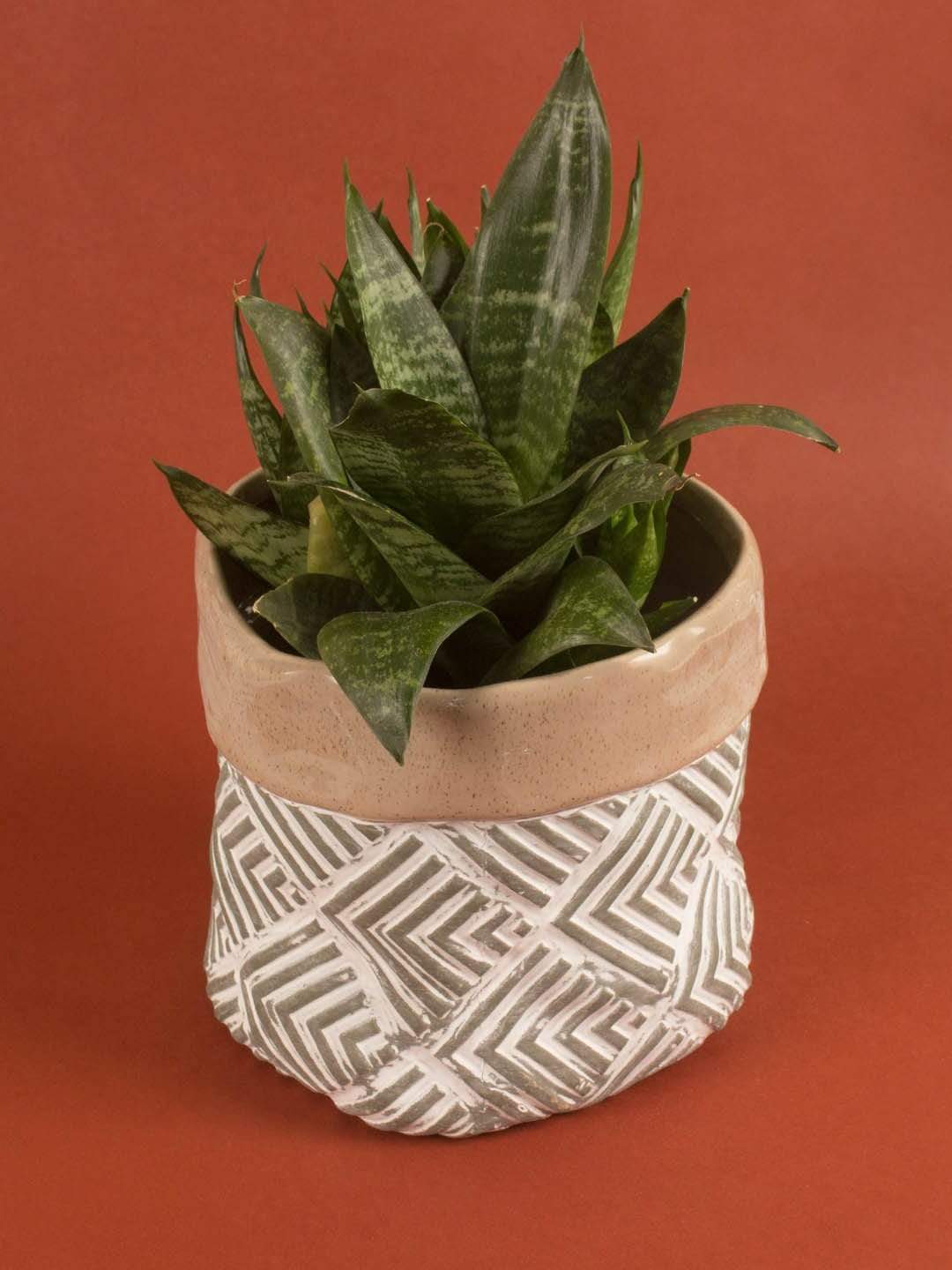 Gunny Sack Ceramic Planter