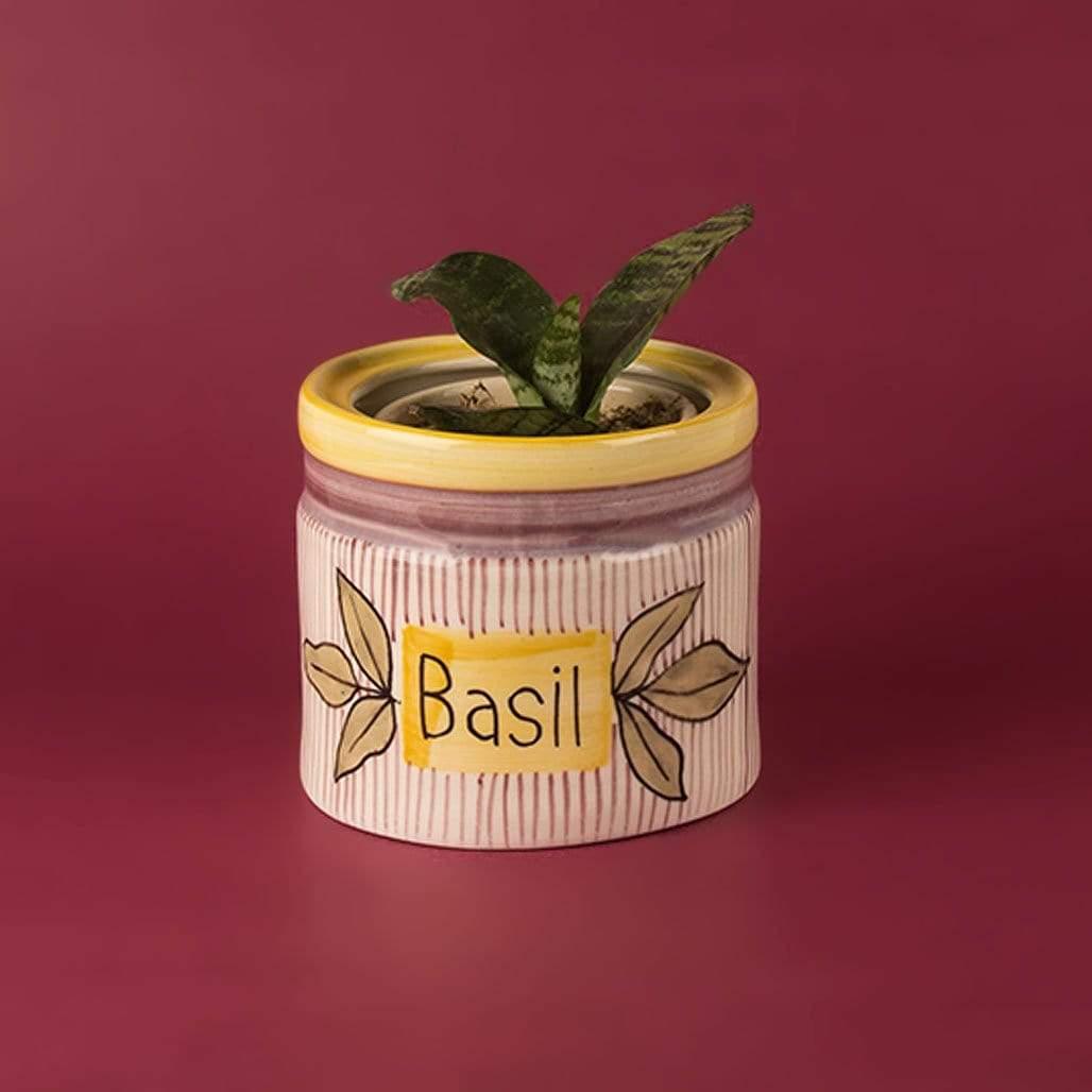 Herb Planter- Basil