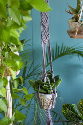 Lace Cable Macrame Wall Planter Holder