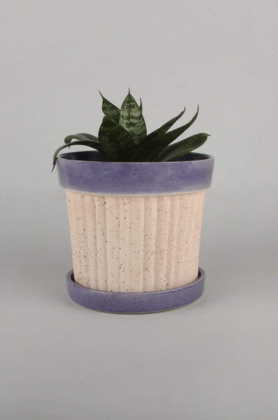 Large Crinkle Pop Ceramic Planter with Plate