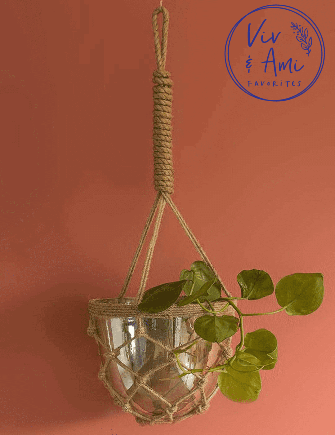 Luster Hanging Planter With Knotted Rope