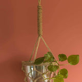 Luster Hanging Planter With Knotted Rope