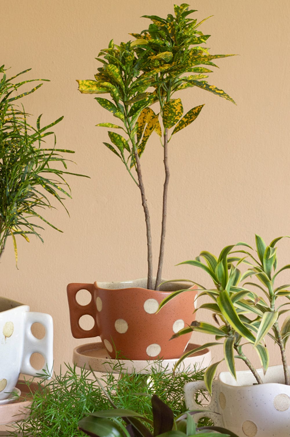 Madhatter Polka Dot Teacup Planter- Rust