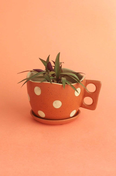 Madhatter Polka Dot Teacup Planter- Rust