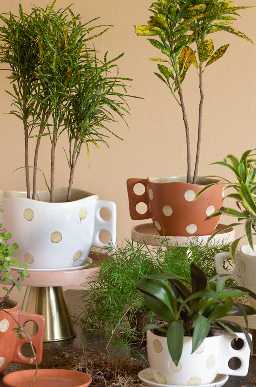 Madhatter Polka Dot Teacup White Planter