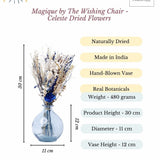 Magique by The Wishing Chair - Celeste Dried Flowers & Glass Vase