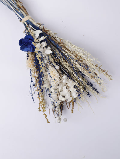 Magique by The Wishing Chair - Celeste Dried Flowers & Glass Vase