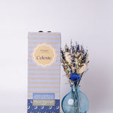 Magique by The Wishing Chair - Celeste Dried Flowers & Glass Vase