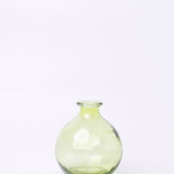 Magique by The Wishing Chair - Jade Dried Flowers & Glass Vase