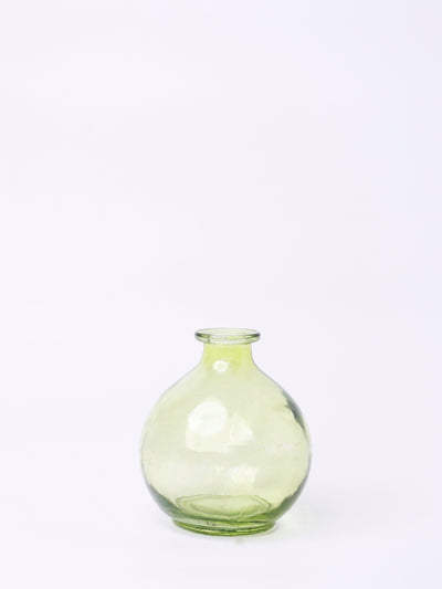 Magique by The Wishing Chair - Jade Dried Flowers & Glass Vase