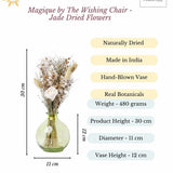 Magique by The Wishing Chair - Jade Dried Flowers & Glass Vase