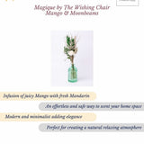 Magique by The Wishing Chair Mango & Moonbeams