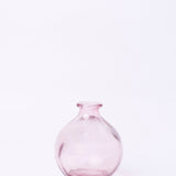 Magique by The Wishing Chair - Rosette Dried Flowers & Glass Vase
