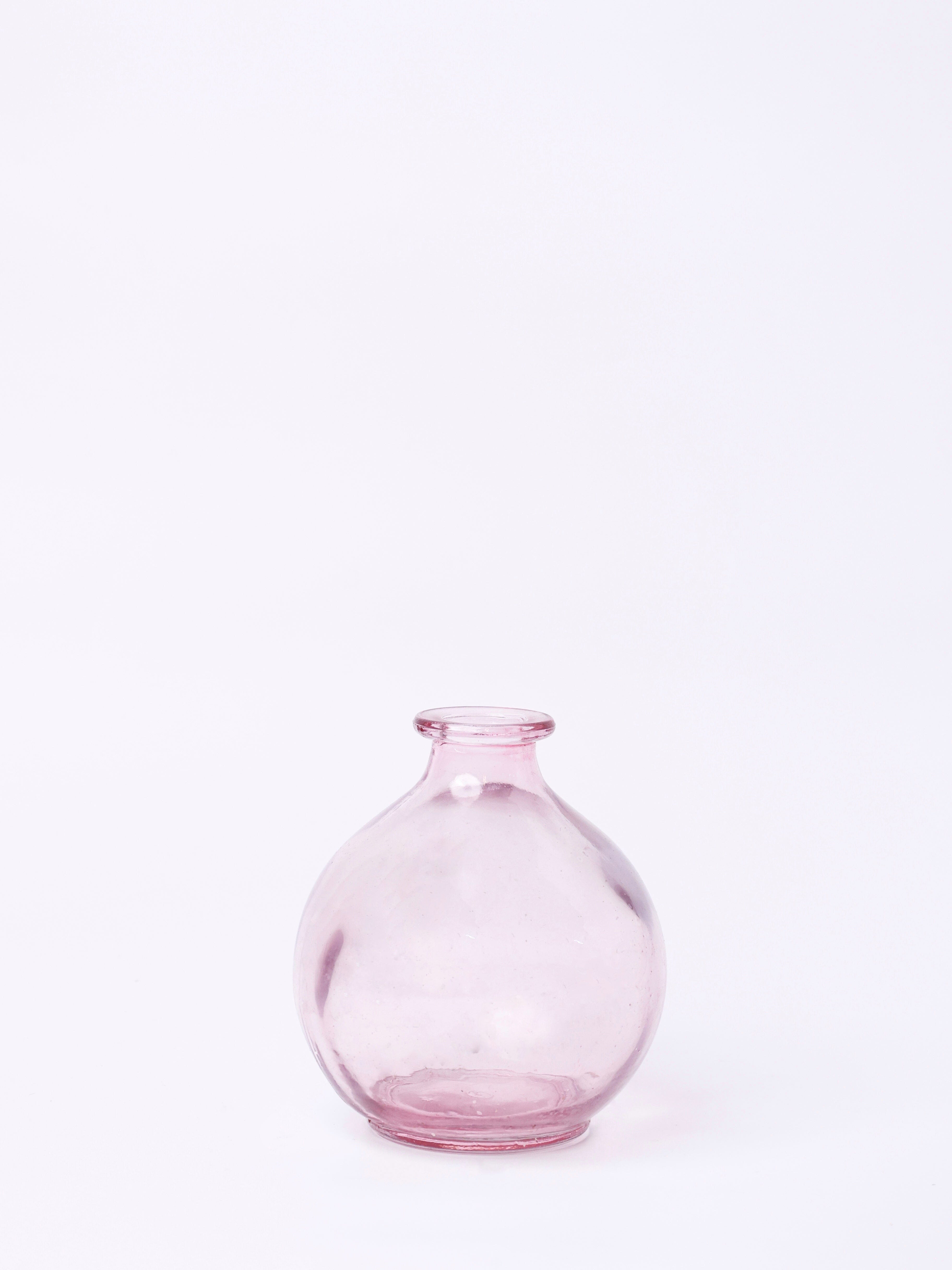Magique by The Wishing Chair - Rosette Dried Flowers & Glass Vase