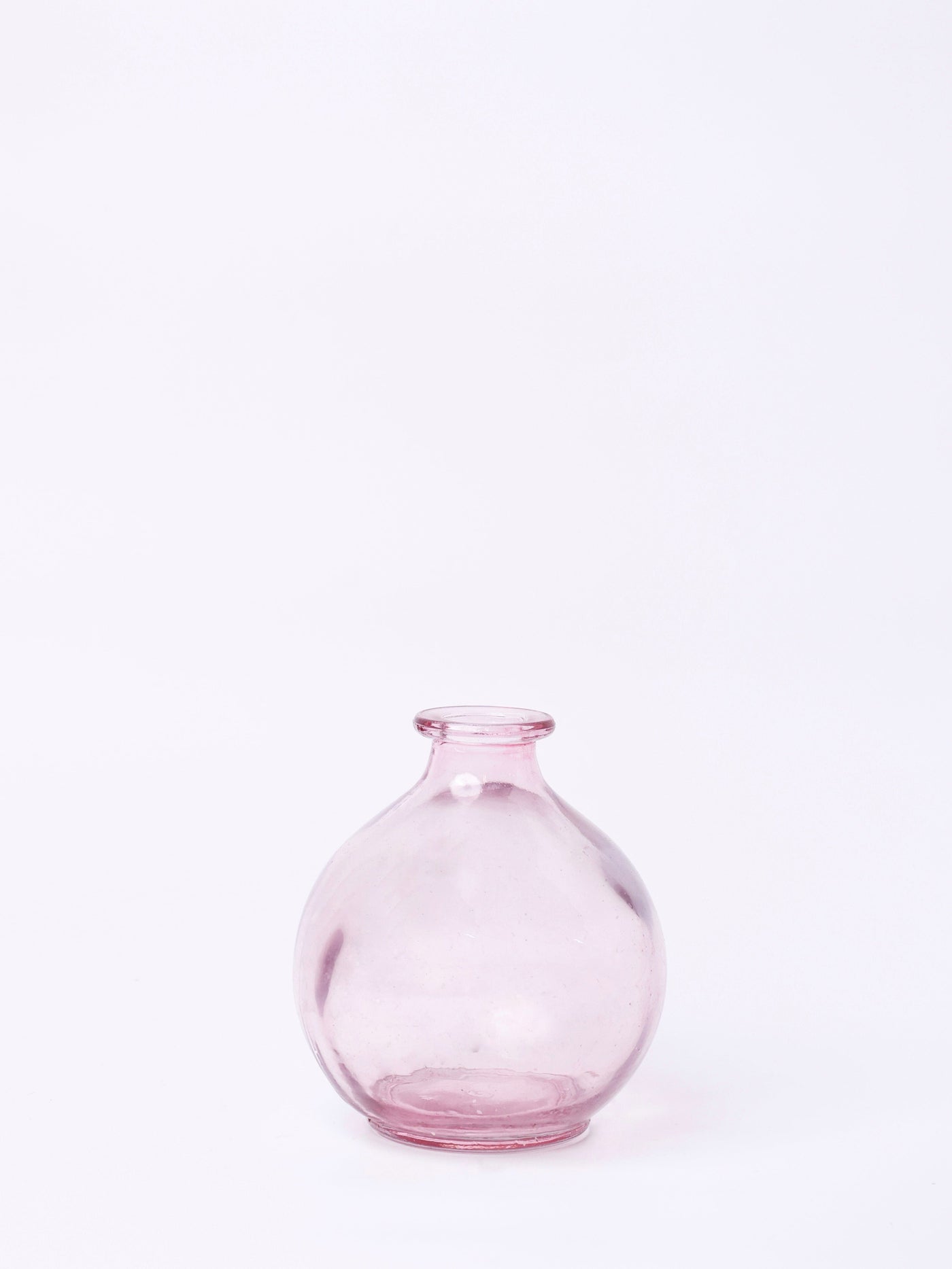 Magique by The Wishing Chair - Rosette Dried Flowers & Glass Vase