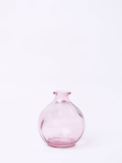 Magique by The Wishing Chair - Rosette Dried Flowers & Glass Vase